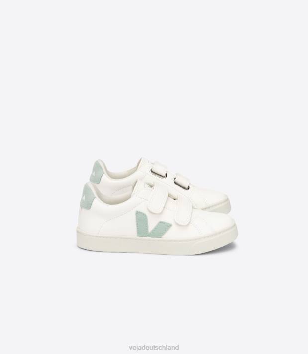 Schuhe VHJD329 Kinder Veja Esplar chromfreies Leder, weißes Matcha