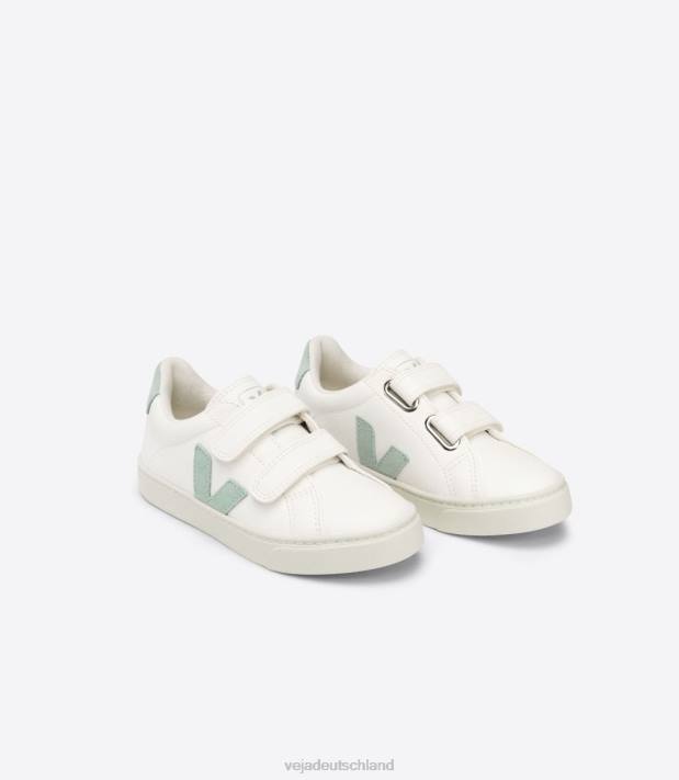 Schuhe VHJD329 Kinder Veja Esplar chromfreies Leder, weißes Matcha
