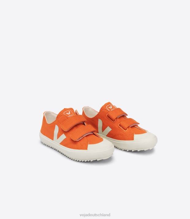 Schuhe VHJD396 Kinder Veja Ollie Canvas Kürbis Pierre