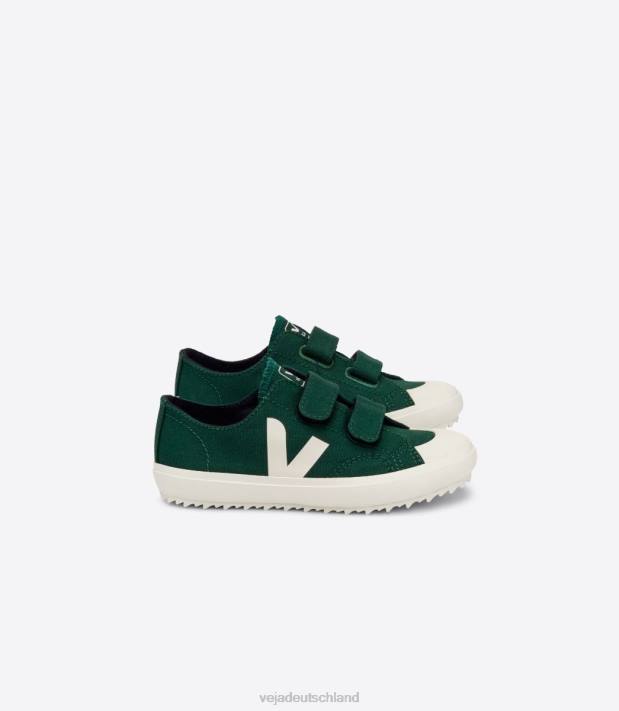 Schuhe VHJD397 Kinder Veja Ollie Canvas Poker Pierre