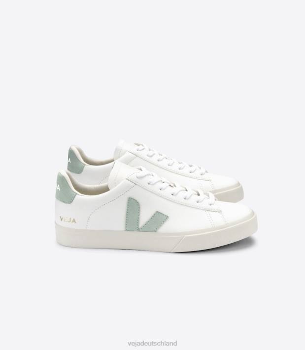 Schuhe VHJD17 Männer Veja Campo chromfreies Leder weiß Matcha