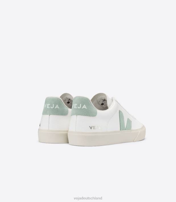 Schuhe VHJD17 Männer Veja Campo chromfreies Leder weiß Matcha